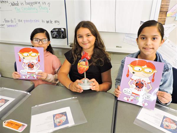 Students in 4th Grade learning about the heart. 